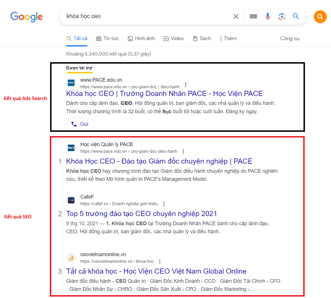 SEO LÀ GÌ? TỔNG QUAN VỀ SEARCH ENGINE OPTIMIZATION (SEO)